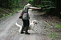 Such-Verloren