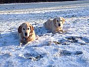 Emmi und Frida